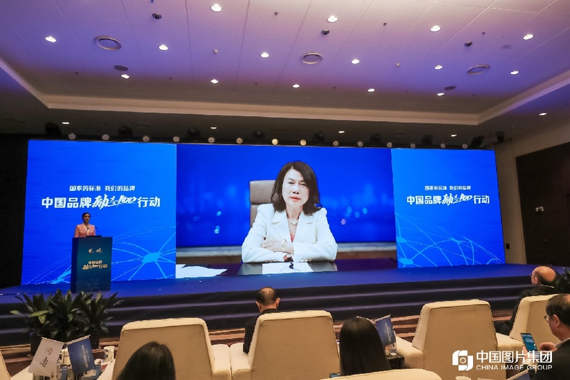 董明珠：树立中国品牌 应注重标准建设