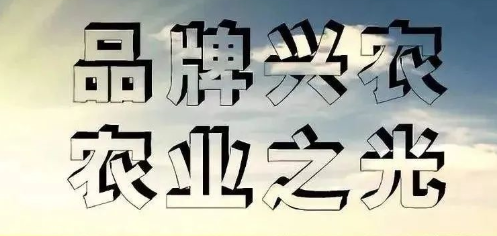 刘焕鑫：以品牌意识推进乡村振兴 