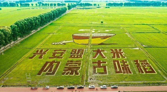 微信图片_20220705151024 微信图片_20220705151024