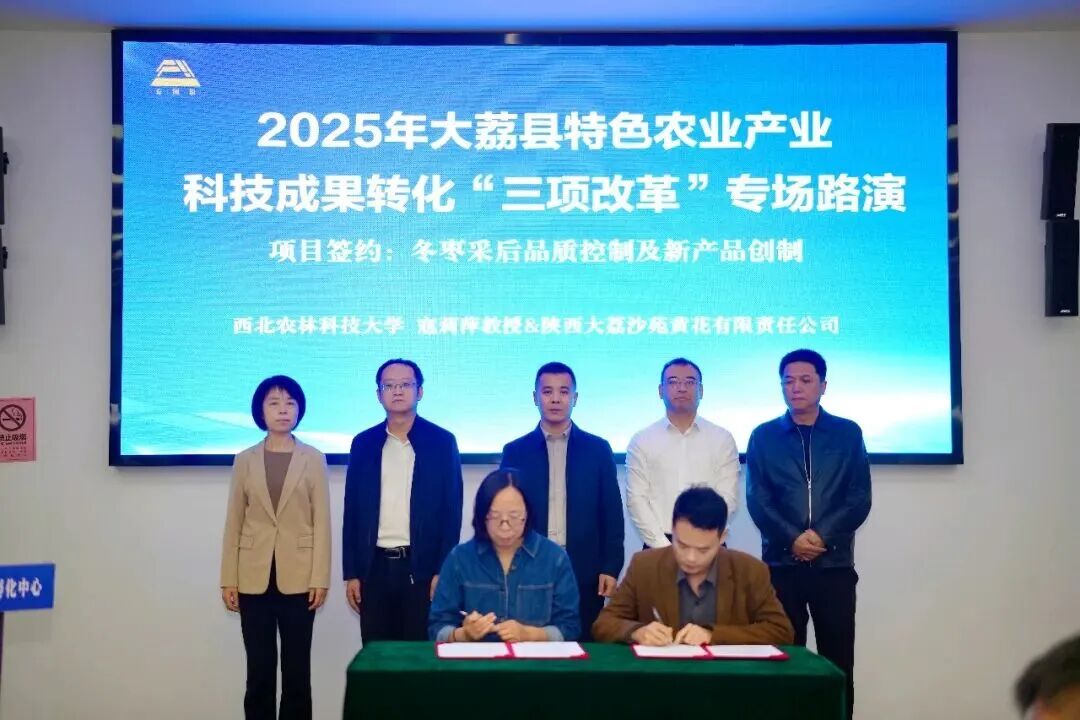 2025年大荔县特色农业产业科技成果转化“三项改革”专场路演活动成功举办